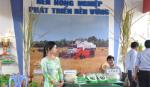 Tập trung hoàn tất công việc chuẩn bị cho MDEC - Vĩnh Long 2013