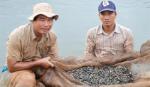 KS Nông Thành Thái: Làm theo Bác tạo động lực nghiên cứu và thực hành