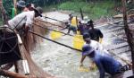 VietGAP giúp nghề nuôi thủy sản bền vững hơn