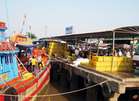 Chi phí đánh bắt tăng cao cùng với sản lượng thủy sản khai thác giảm mạnh khiến tàu cá hoạt động không có lãi.