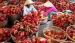 Tiền Giang sẵn sàng tham dự MDEC - Vĩnh Long 2013