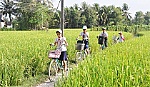 Bình Phục Nhất:  Hoàn thiện hệ thống GTNT gắn với phát triển KT-XH