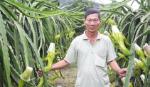 Khơi thông 