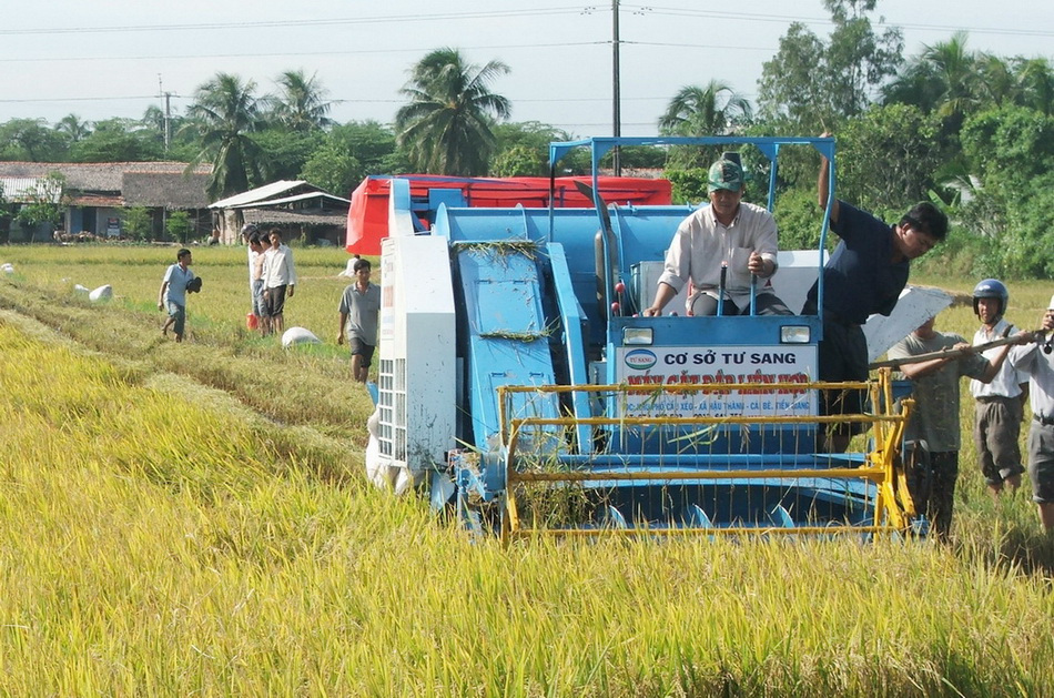 Năm 2013, sản xuất lương thực tiếp tục đạt kết quả tốt.