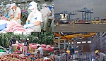 Kết quả phát triển KT-XH của tỉnh năm 2013 và nhiệm vụ năm 2014