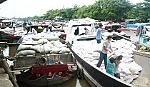 Gạo sẽ không thiếu và 