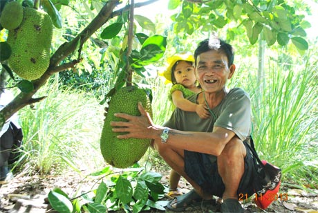 Đặng Văn Chín bên gốc mít thái siêu sớm.