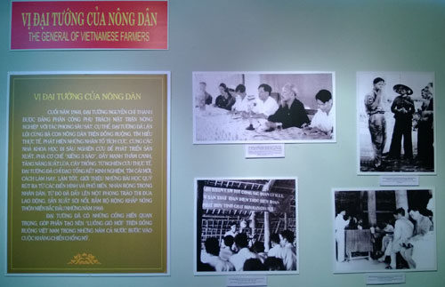 Phần trưng bày