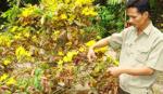 Chơi mai - làm chơi ăn thiệt