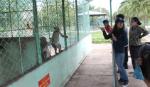 10 sự kiện văn hóa, thể thao và du lịch nổi bật năm 2013