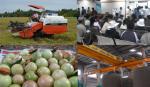 ĐBSCL cần tăng thu hút FDI cho xây dựng hạ tầng