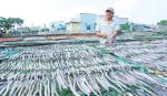 Làng nghề cá khô Vàm Láng vào dịp Tết