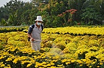 Nhà vườn tất bật chuẩn bị hoa Tết