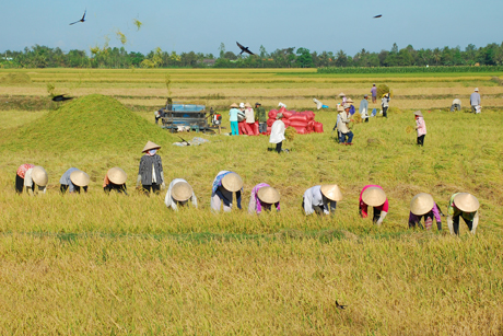 Ảnh: Cao Lập Đức