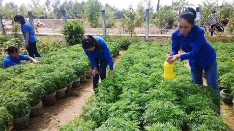 Cán bộ, đoàn viên xã Tân Lập 1 đang chăm sóc hoa.