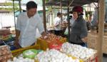 Trứng gia cầm rớt giá