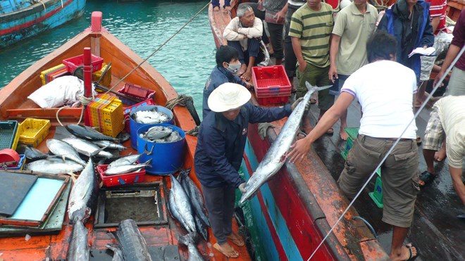  Lộc của đêm giao thừa. Ảnh: Nam Cường - Anh Thư Lộc của đêm giao thừa. Ảnh: Nam Cường - Anh Thư 