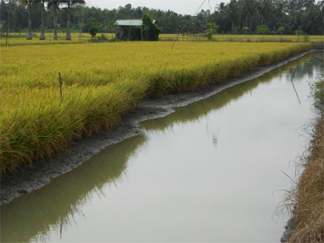 Ảnh minh họa. Ảnh: Vân Anh