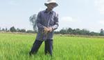 Nước kinh dồi dào, nông dân bớt lo thiếu nước sản xuất