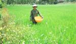 Tân Phú trên đường đi lên xã nông thôn mới