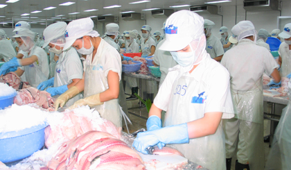 Sản phẩm cá tra philê. Ảnh: Duy Sơn