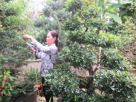 Chị Huệ chăm sóc vườn kiểng.