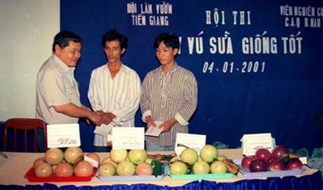 Viện Cây ăn quả miền Nam phối hợp với Hội Làm vườn Tiền Giang tổ chức Hội thi Cây vú sữa giống tốt. Ảnh tư liệu