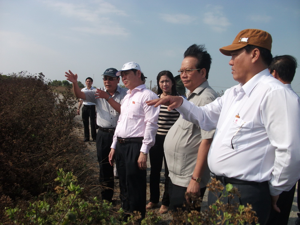 Đoàn Giám sát Ủy ban Thường vụ Quốc hội khảo sát đoạn đê biển xung yếu Gò Công 1 (Gò Công Đông).