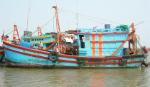 Ngành Thủy sản phát triển ổn định và bền vững