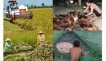 Đưa nông sản ra nhiều cửa