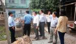 Khảo sát tình hình đấu giá, cho thuê và quản lý, sử dụng đất công