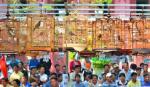 Festival Huế 2014: Tưng bừng nhiều hoạt động văn hóa