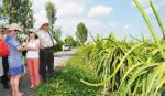 Đoàn trợ lý Nghị sĩ Quốc hội Hoa Kỳ đến thăm Tiền Giang