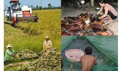 Ảnh minh họa. Ảnh: Vân Anh