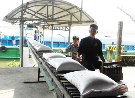 Vận chuyển gạo xuất khẩu xuống sà lan. Ảnh: Vân Anh