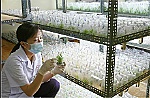 KH và CN là động lực thúc đẩy phát triển theo hướng CNH, HĐH