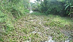 Chung tay bảo vệ môi trường