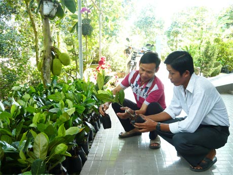 Ông Hồ Văn Lập (xã Cẩm Sơn), điển hình học tập và làm theo tấm gương đạo đức Hồ Chí Minh trong việc thực hiện những việc làm thiết thực cho cộng đồng.