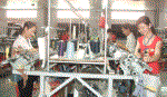 Đào tào nghề dệt len và ráp áo len công nghiệp