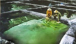 Tác phẩm 