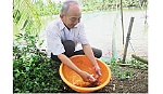 Thương binh Lê Văn Giàu: Cuộc sống khấm khá nhờ nuôi cá cảnh