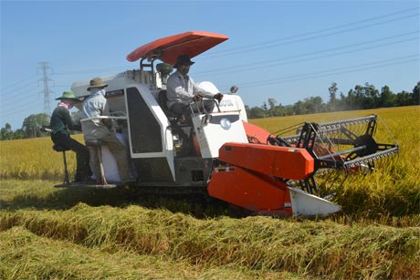 Các khoản vay mua máy gặt đập liên hợp sẽ được hỗ trợ lãi suất vay.