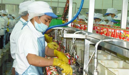 Công nhân đang làm việc tại Công ty TNHH Royal Foods (Khu công nghiệp Mỹ Tho).  Ảnh: HỮU NGHỊ