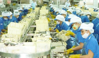 Công nhân đang làm việc tại Công ty TNHH Royal Foods (Khu công nghiệp Mỹ Tho).