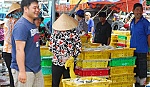 Bài 3: Thế hệ trẻ tiếp nối cha ông 