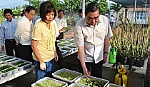 Đồng chí Lê Hồng Anh thăm và làm việc tại Viện CĂQ Miền Nam