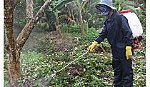 Phòng chống bệnh 