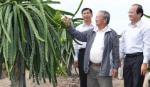 Tân Phước: Tập trung thực hiện các khâu đột phá để phát triển nhanh,bền vững