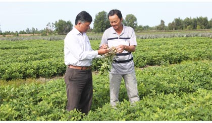 Hội ND xã Thạnh Mỹ vận động hội viên mạnh dạn chuyển đổi cơ cấu cây trồng đạt hiệu quả cao.