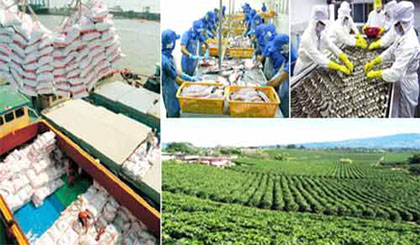 Ảnh minh họa. Nguồn: kinhtenongthon.com.vn